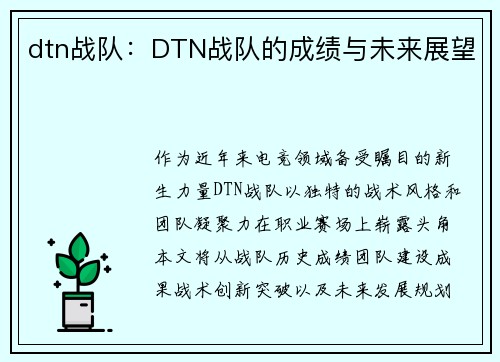dtn战队：DTN战队的成绩与未来展望