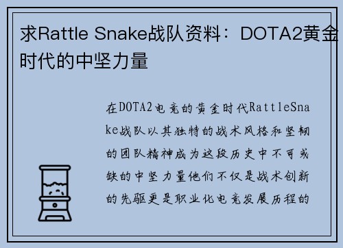 求Rattle Snake战队资料：DOTA2黄金时代的中坚力量